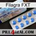 Filagra FXT 39